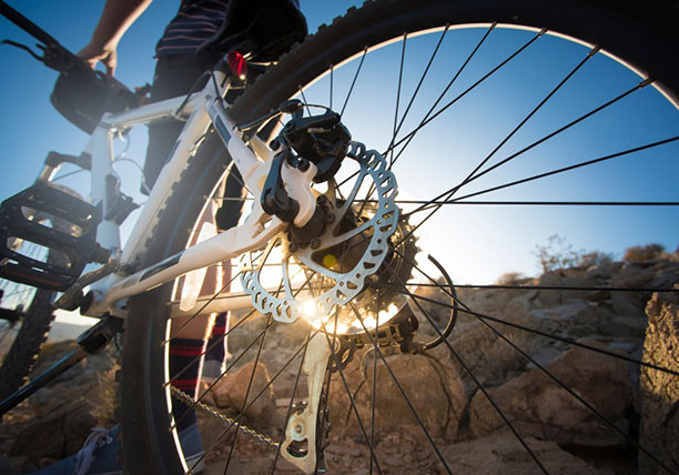 Κατασκευή e-shop | BikeNest